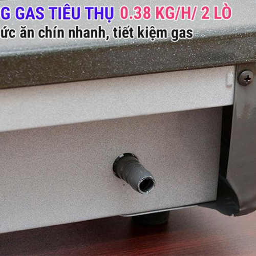 Bếp ga Rinnai RV-365GN3