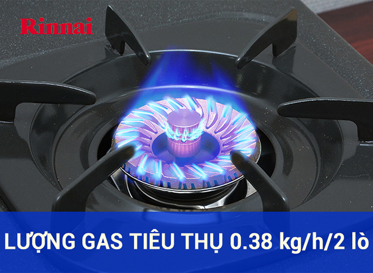 Bếp ga Rinnai RV-377GN4