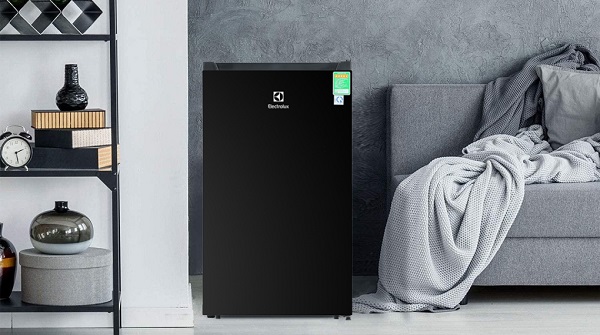 Tủ lạnh Electrolux EUM0930BD-VN2