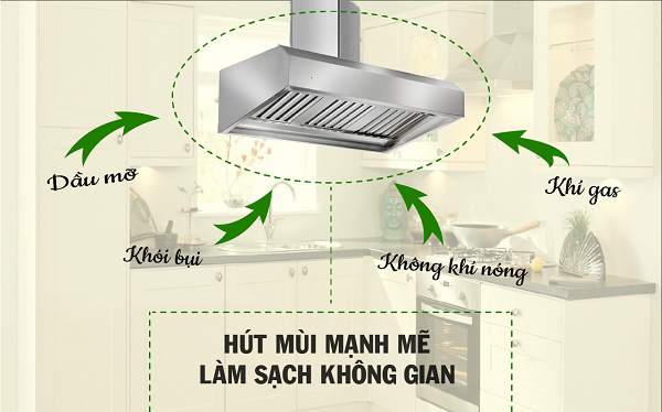 Không khí sạch, trong lành mang đến sức khỏe tốt hơn.