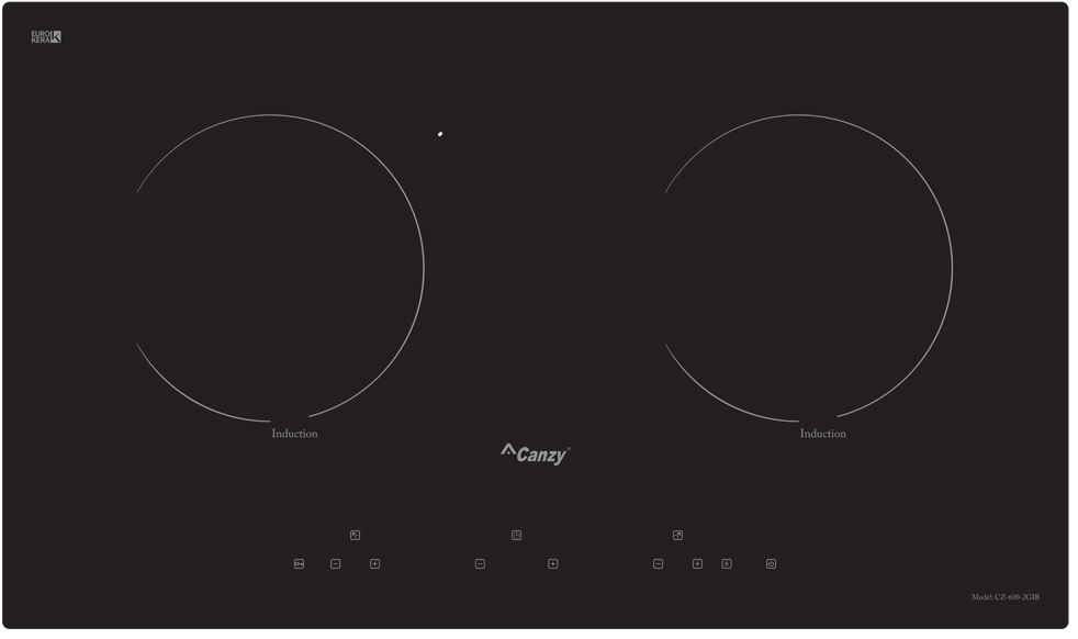 Bếp từ Canzy CZ 600-2GIB