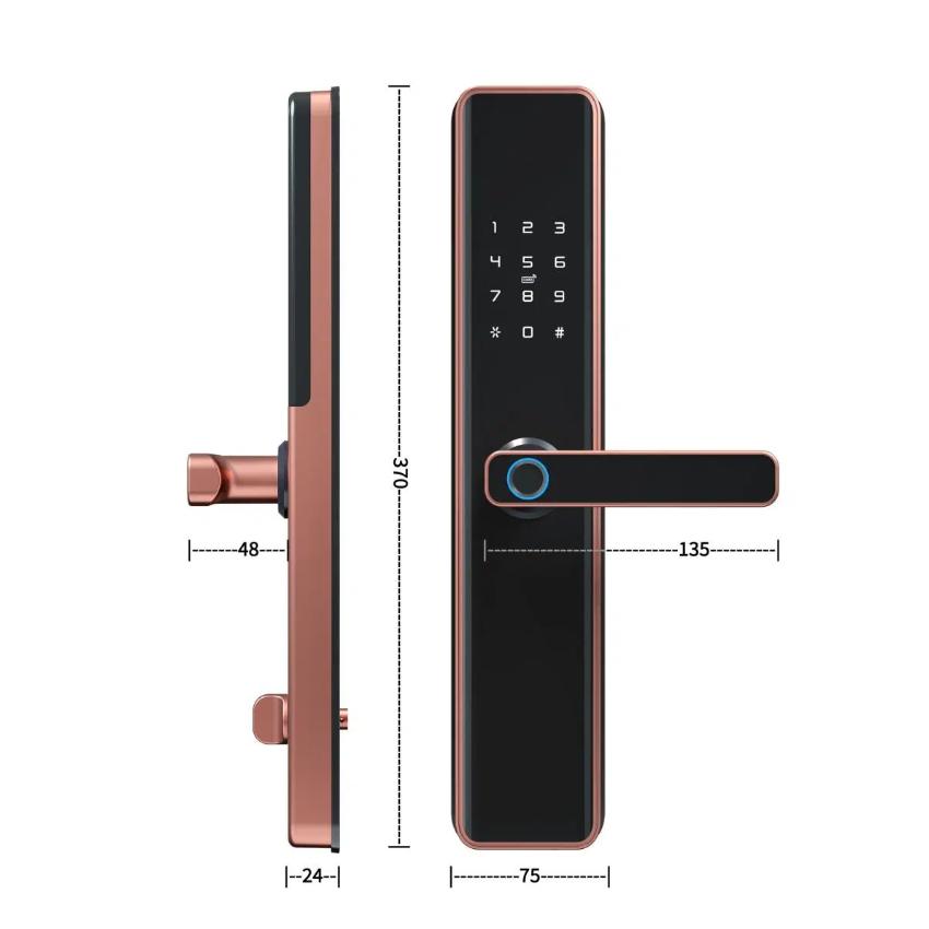 Khóa cửa vân tay Kassler KL-669 COPPER APP (MÀU ĐỒNG)0